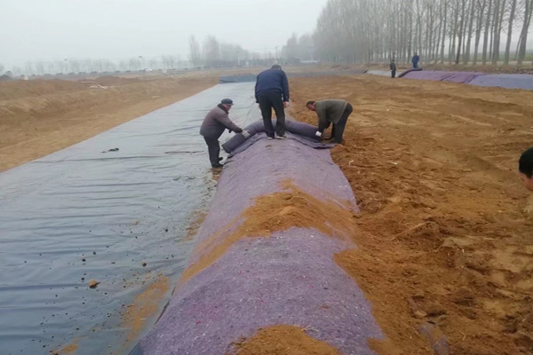 香蕉免费在线视频在雨季铺设的注意事项